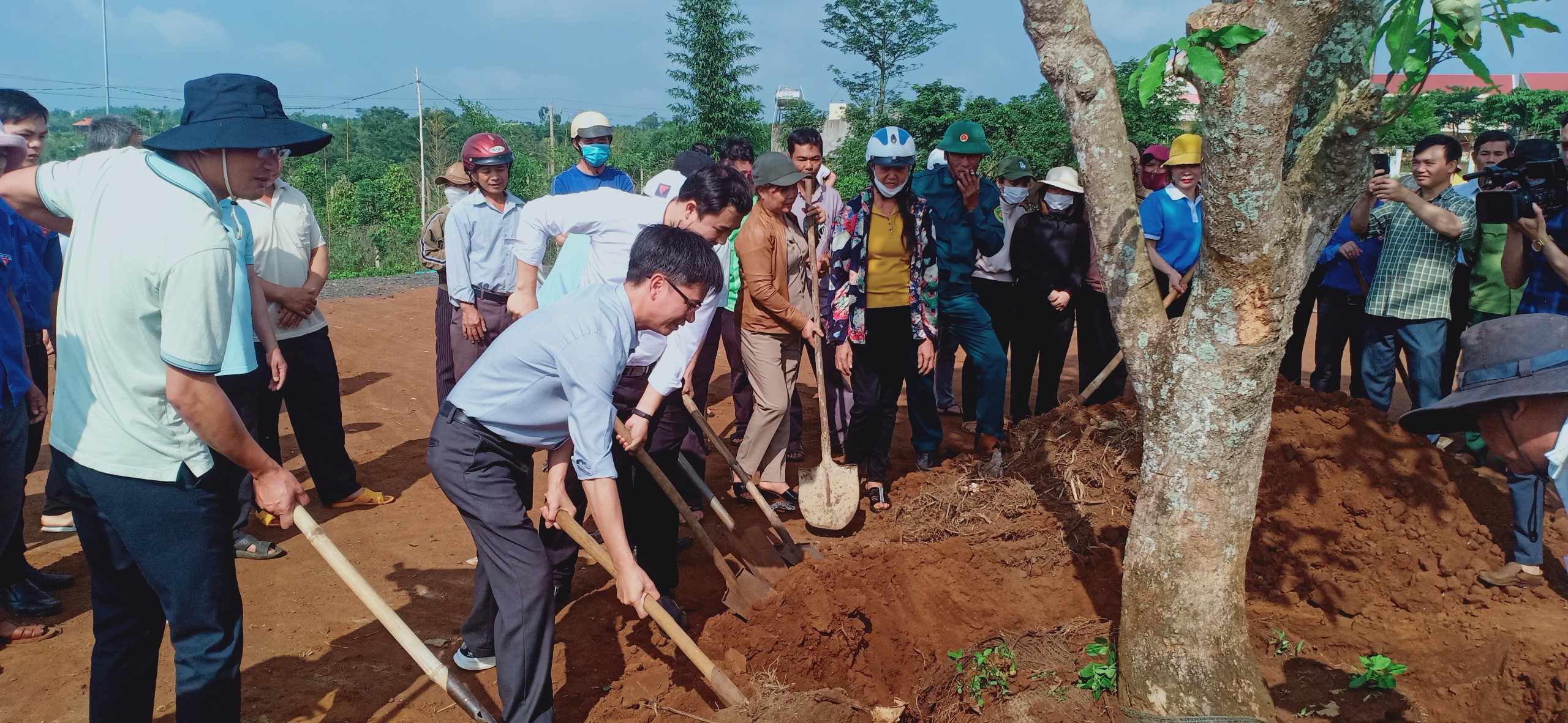 04d2f65fea7c34226d6d3