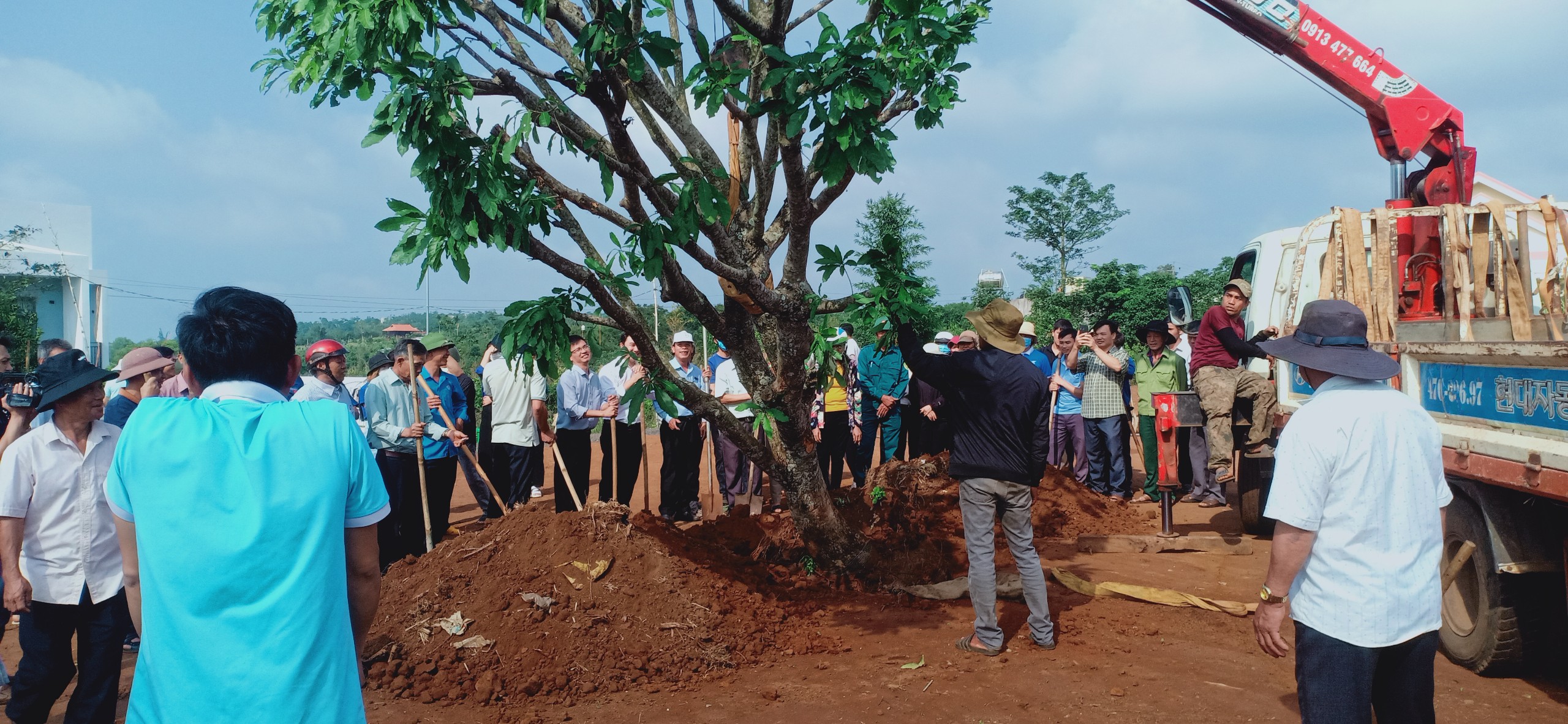 4907e617fa34246a7d2510